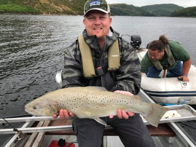Big Brown 2 scaled