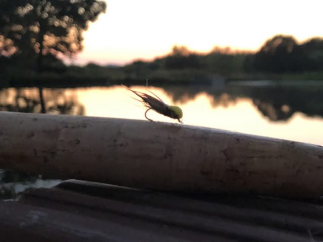 new pattern for tan y mynydd