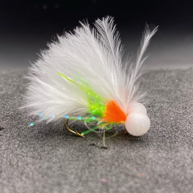 White Eyed Go Faster UV Cat Booby