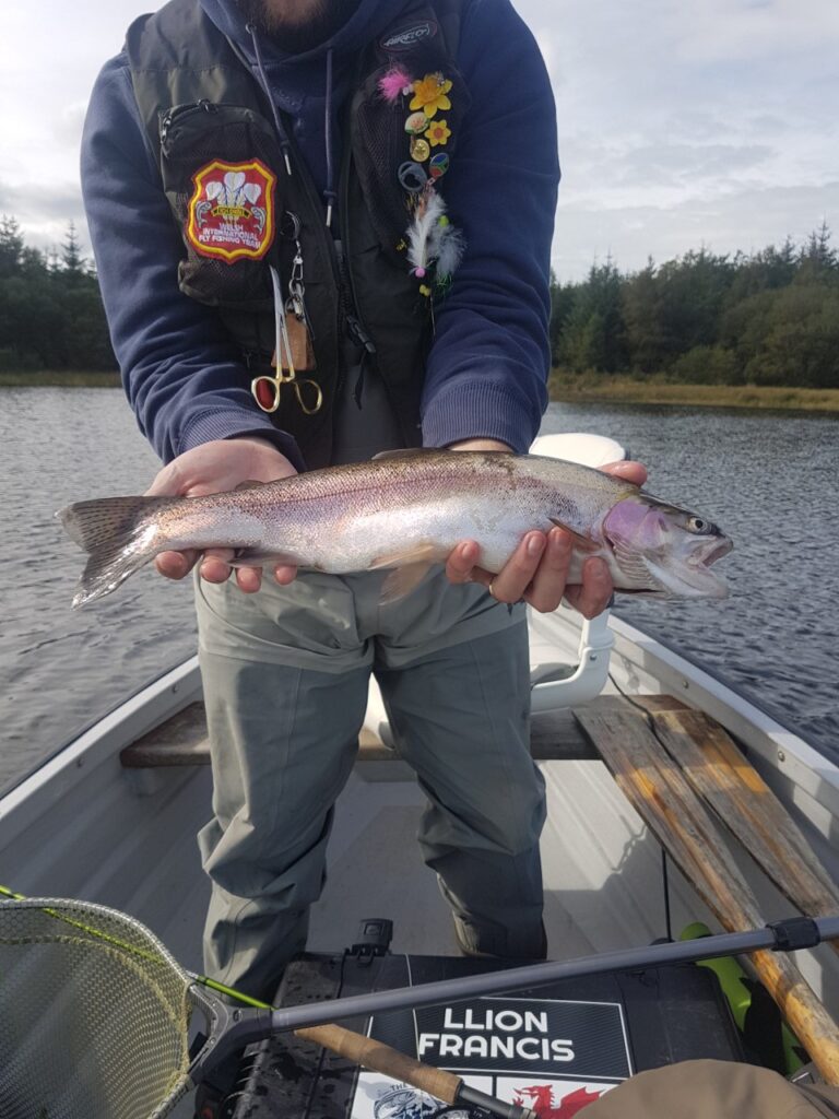 rainbow trout caught at llyn brenig