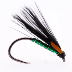 Green Holographic cormorant