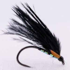 barbless jungle cock cormorant