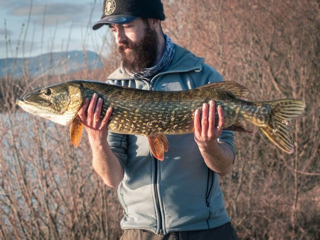Man holding Pike Catch