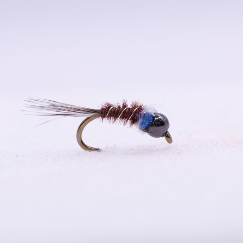 Mary - The Fly Shop