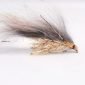 Ardens uv JC Minky scaled