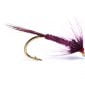 Claret Cruncher scaled