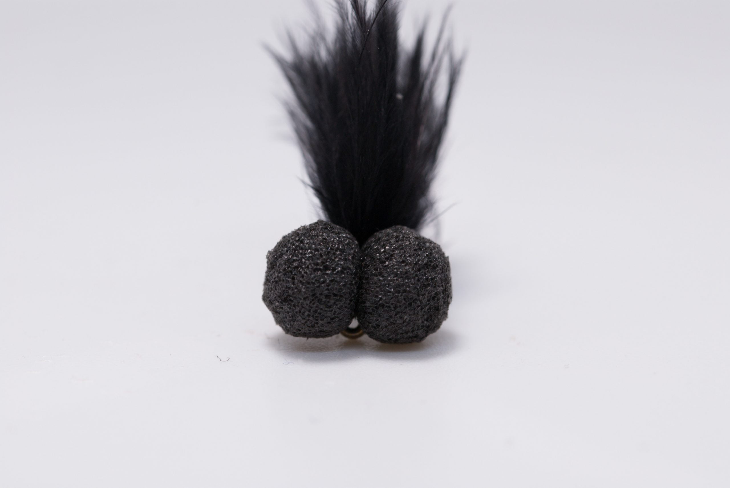 Head on corm boobie scaled