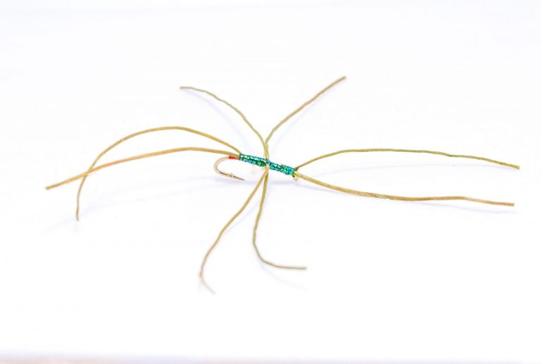 Olive redtag worm scaled