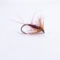 barbless fiery brown scaled