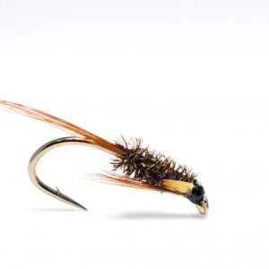 brown jc db scaled