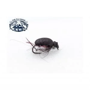 barbless black foam beetle scaled