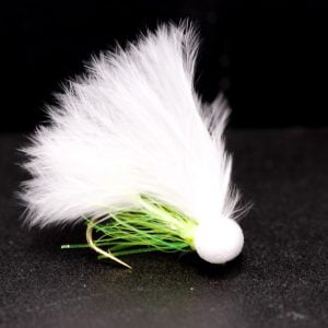 white eyed mirage cat booby scaled