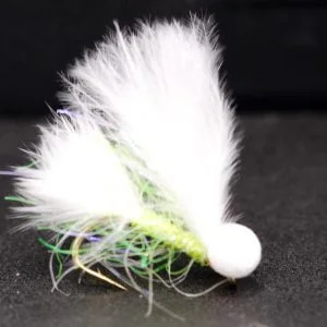 white eyed uv cat booby
