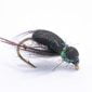 black foam bettle