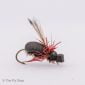 flying ant