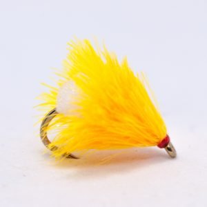 fnf jelly sunburst fab