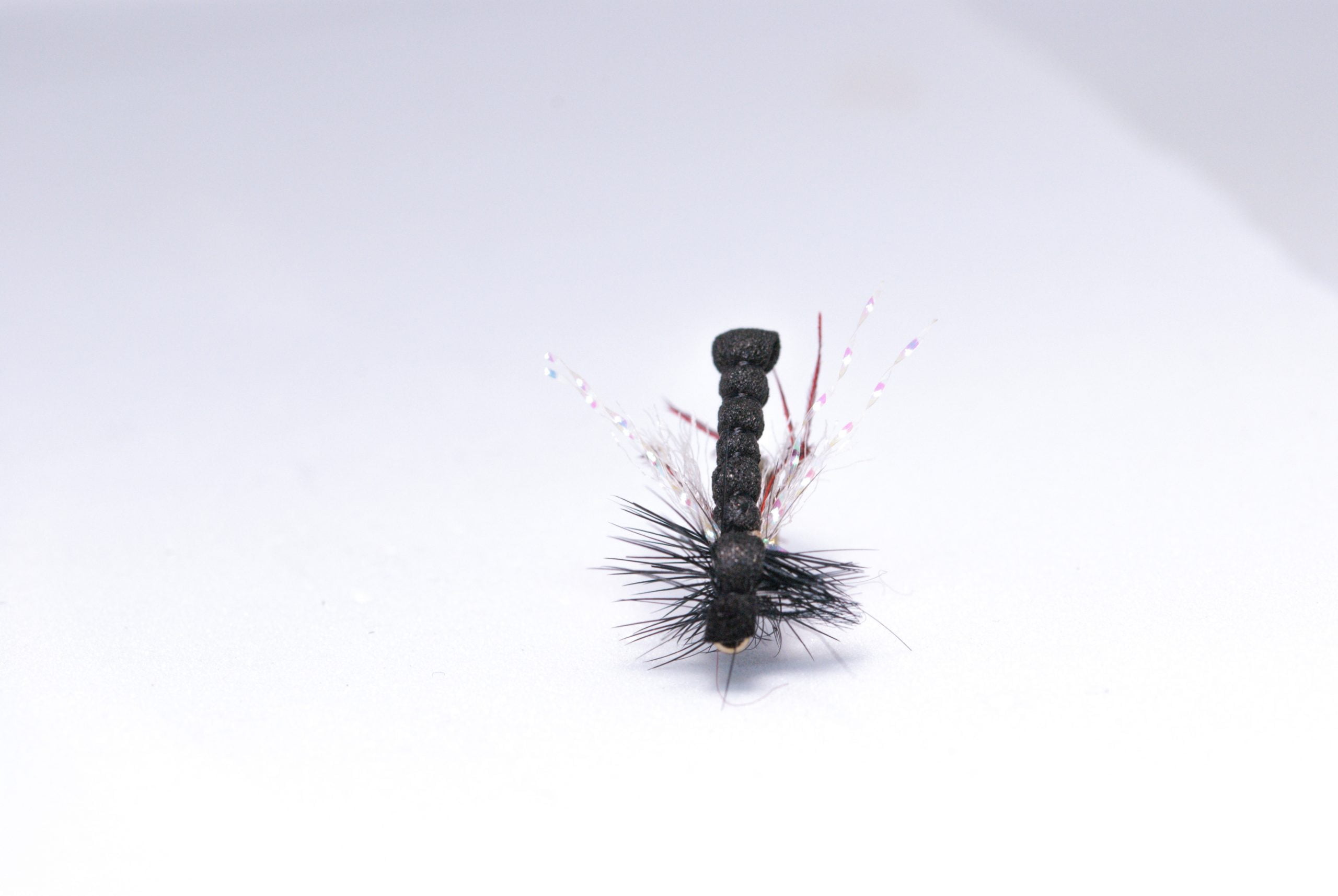 top view black heather fly scaled